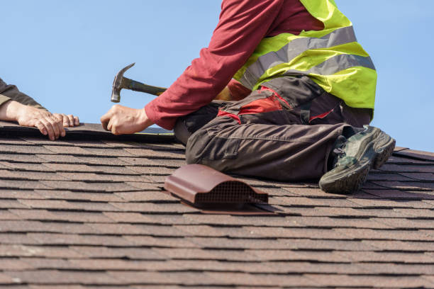 Best Roof Gutter Cleaning  in Foothill Farms, CA